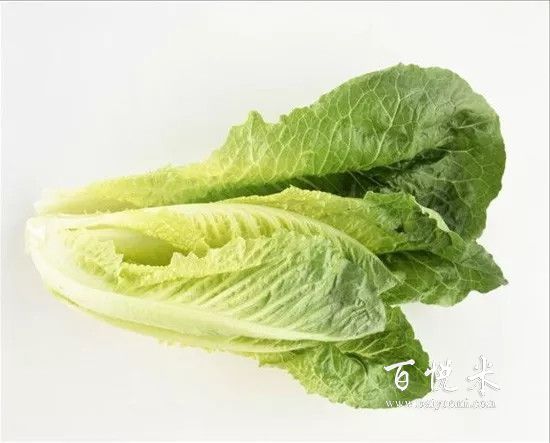 盤點最全做沙拉用到的蔬菜,這些蔬菜你都見過嗎?